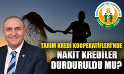 Aydınlı çiftçilerin şikayetini meclise taşıdı