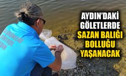 Aydın’da 934 bin adet sazan balığı yavrusu suyla buluştu