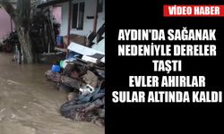 Aydın'da sağanak nedeniyle dereler taştı