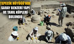 Aydın Tepecik Höyüğü'ndeki kazıda saray benzeri yapı ve tahıl küpleri bulundu