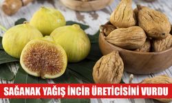 En büyük hasar Nazilli’de