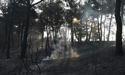 Çanakkale'deki orman yangını kontrol altına alındı