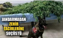 Jandarmadan zehir tacirlerine suçüstü