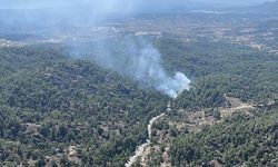 Muğla'da çıkan orman yangınına müdahale ediliyor