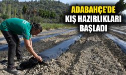 Adabahçe’de kış hazırlıkları başladı
