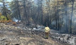 Marmaris'te çıkan orman yangını kontrol altına alındı