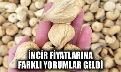 İncir fiyatlarına farklı yorumlar geldi