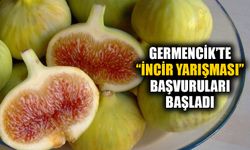 Germencik’te “İncir Yarışması” başvuruları başladı