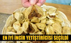 En iyi incir yetiştiricisi seçildi