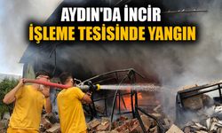 Aydın'da incir işleme tesisinde yangın