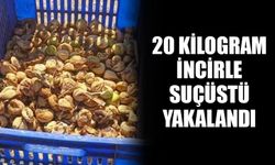 20 kilogram incirle suçüstü yakalandı