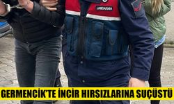 Germencik’te incir hırsızlarına suçüstü