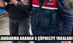 Jandarma aranan 5 şüpheliyi yakaladı