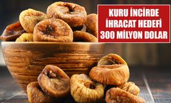 Kuru incirde ihracat hedefi 300 milyon dolar