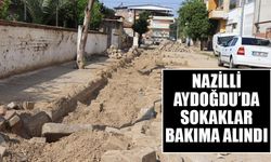 Nazilli Aydoğdu’da sokaklar bakıma alındı