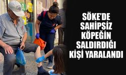 Söke'de sahipsiz köpeğin saldırdığı kişi yaralandı