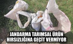 Jandarma tarımsal ürün hırsızlığına geçit vermiyor