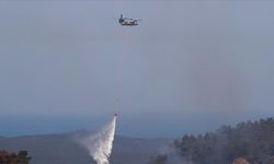 'Hava Rezerv Gücü' orman yangınlarıyla mücadeleye etkin destek verdi