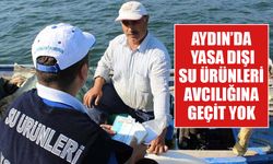 Aydın’da kaçak avcılara göz açtırılmadı