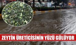 Aydın’da yağmur bereketi