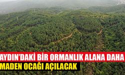 Aydın’daki ormanlık alana dev maden ocağı