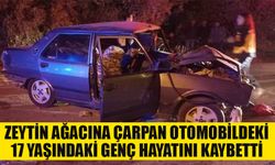 Zeytin ağacına çarpan otomobilde 1 kişi öldü