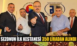 Aydın kestane üretiminde lider