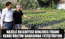 Nazilli Belediyesi binlerce fidanı kendi üretim sahasında yetiştiriyor