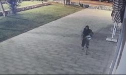 Başkan Ömer Günel’den vandallığa sert tepki