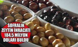 Türkiye'nin sofralık zeytin ihracatı 184,5 milyon doları buldu