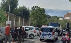 İzmir'in Dikili ilçesinde makilik alanda yangın çıktı