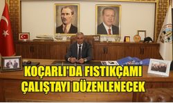 Koçarlı’da fıstıkçamı çalıştayı düzenlenecek