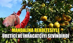 Mandalina rekoltesiyle üretici ve ihracatçıyı sevindirdi