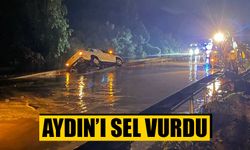 Aydın'da sağanak yağış yaşamı olumsuz etkiledi