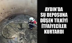 Aydın'da su deposuna düşen tilkiyi itfaiyeciler kurtardı