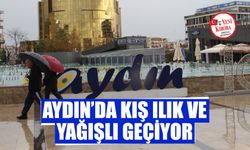 Aydın’da kış ılık ve yağışlı geçiyor