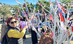 Bodrum'da "Nartugan" kutlandı
