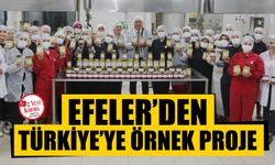 Efeler’den Türkiye’ye örnek proje