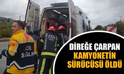 Direğe çarpan kamyonetin sürücüsü öldü