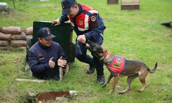 Jandarma köpekleri "Mermi" ve "Logo" başarılarıyla göz dolduruyor