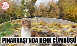 Pınarbaşı’nda renk cümbüşü