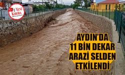 Bakan Yumaklı Aydın’daki sel afetinin bilançosunu paylaştı