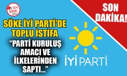 Söke İYİ Parti'de toplu istifa