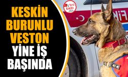 Keskin burunlu Veston yine iş başında