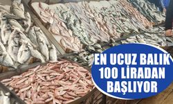 Nazilli’de balık fiyatları yükseldi