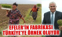 Efeler'in fabrikası Türkiye'ye örnek oluyor