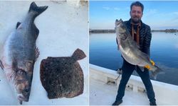 Balıkçının ağına 11 kilogramlık levrek takıldı