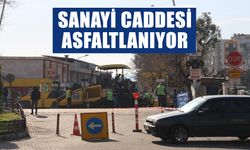 Sanayi Caddesi asfaltlanıyor