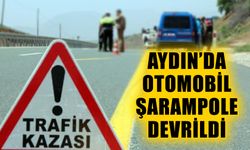 Aydın'da şarampole devrilen otomobildeki 4 kişi yaralandı
