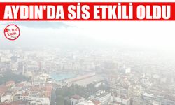 Aydın'da sis etkili oldu